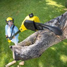 Best Lawn Fertilization Services  in Whitmore Lake, MI